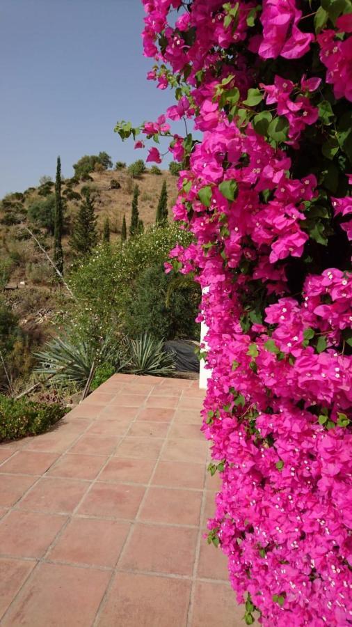 Cortijo Las Palmeras El Chorro Álora Eksteriør billede