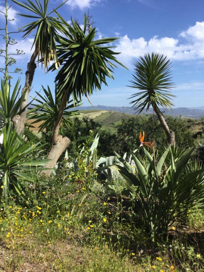 Cortijo Las Palmeras El Chorro Álora Eksteriør billede